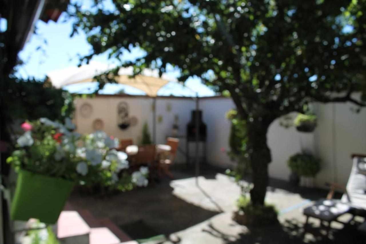 Alojamiento La Olmedana Olmedo Luaran gambar